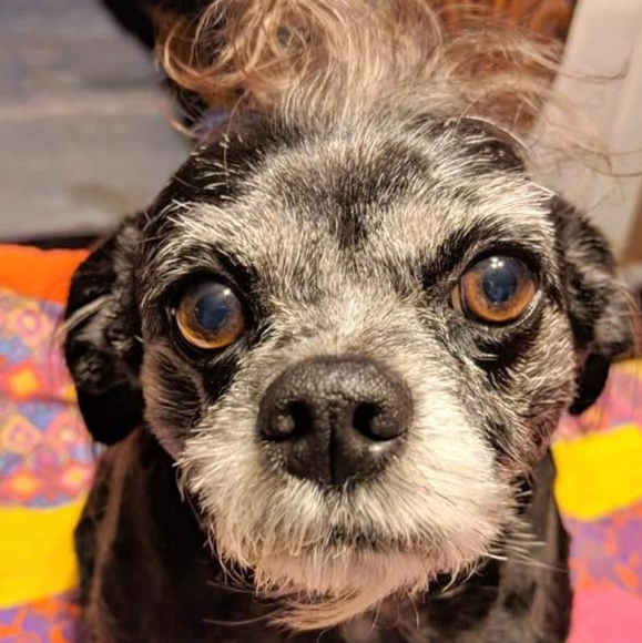 Meet your Seller/Buyer... - Picture 4 of 16